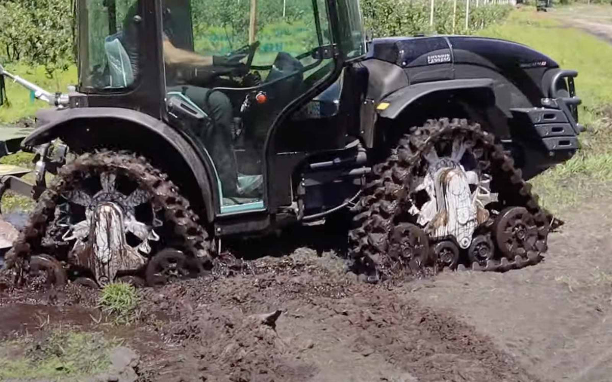 Tony Tractors Florida Blueberry Farm, 2021